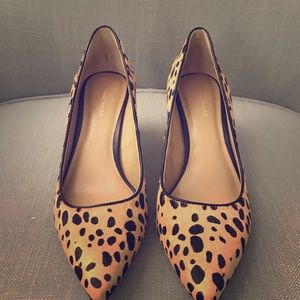 Ann Taylor animal print kitten keels